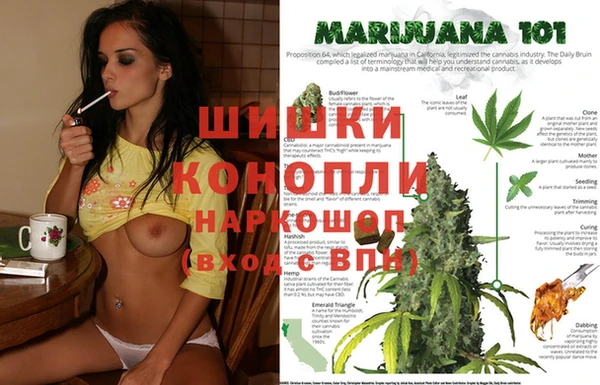 spice Приозерск