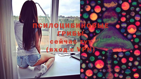 мдпв Пролетарск