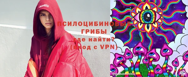 мдпв Пролетарск