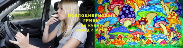 стаф Протвино