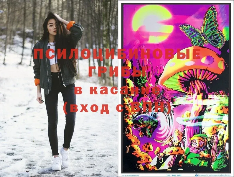 Псилоцибиновые грибы Magic Shrooms  Бежецк 