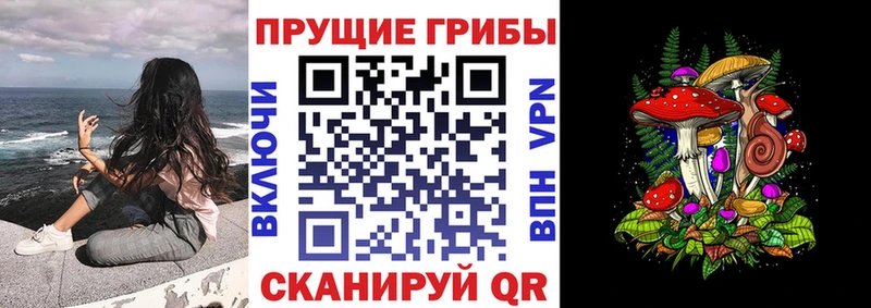 Псилоцибиновые грибы ЛСД  наркотики  Бежецк 